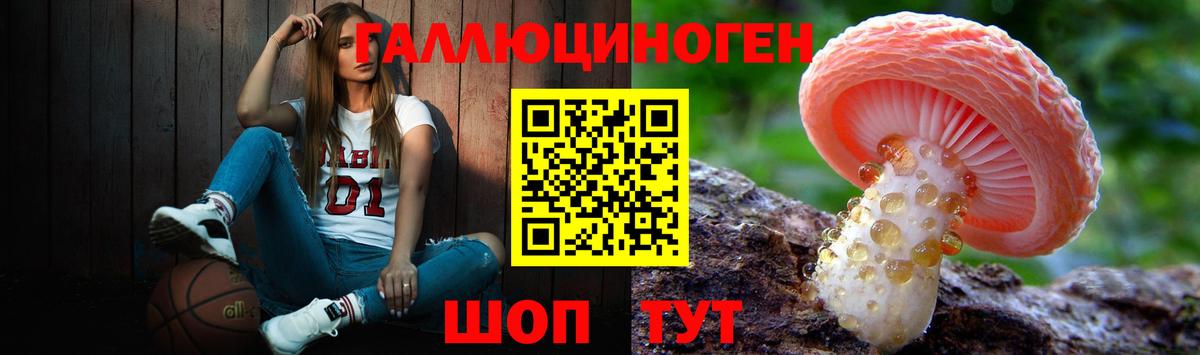 Псилоцибиновые грибы MAGIC MUSHROOMS  цена наркотик  Тобольск  Вход с VPN  Псилоцибиновые грибы Psilocybine cubensis 